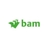 Logo for BAM Ireland 