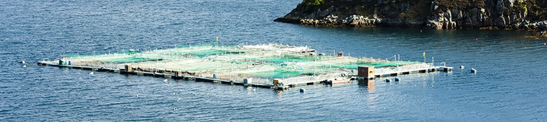 Hero image for Aquaculture