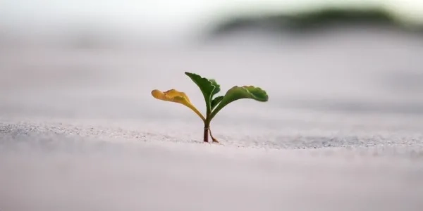 Thumbnail image for Resilience: the ability to cope with setbacks