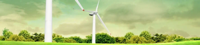 Featured image for Environmental consultancy and business services