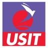 USIT Logo