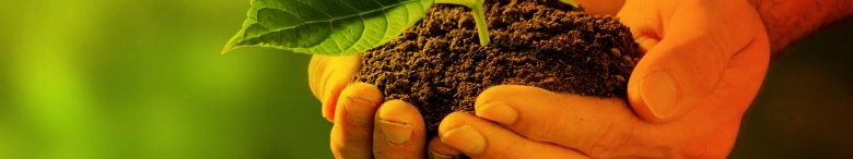 hands holding dirt with a green plant sprouting