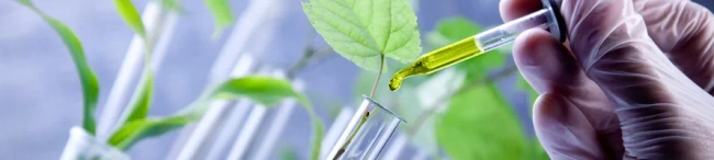Featured image for What is the ‘green economy’.