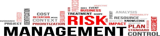 Banner for Risk management 